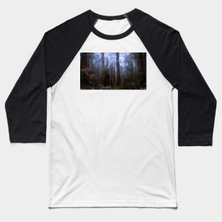 Snow in the Redwood Forest Baseball T-Shirt